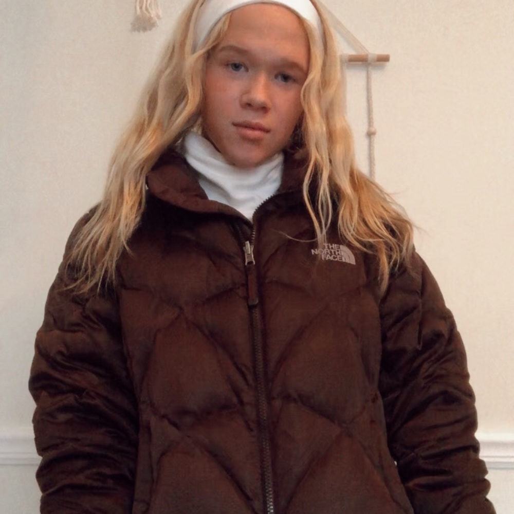 Brown puffer North Face coat